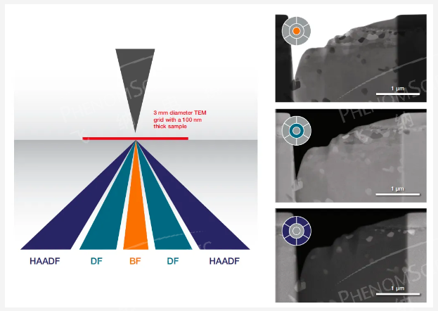 明場（BF）、暗場（DF）和高角度環(huán)形暗場（HAADF）成像示意圖和成像對比圖